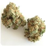 Шишки "White Widow"  (Белая вдова)  Гидропоника -  Бошка VHQ в Шумерле