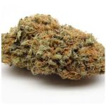 Шишки AK47  (Гидропоника, Бошка) VHQ в Шумерле